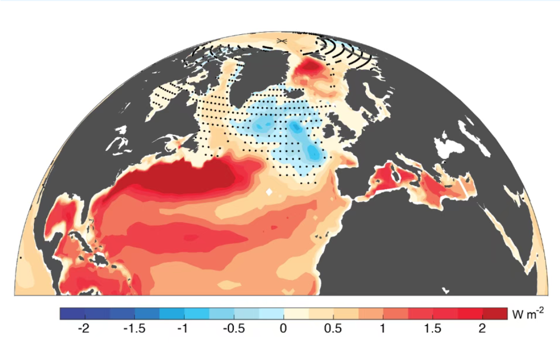 Multidecadal Atlantic warming hole heat content variations are caused by ocean heat transport, not by surface fluxes