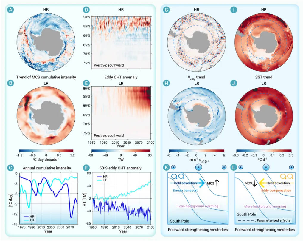 Eddy-resolving simulations reveal amplified marine cold spells in the Southern Ocean under greenhouse warming