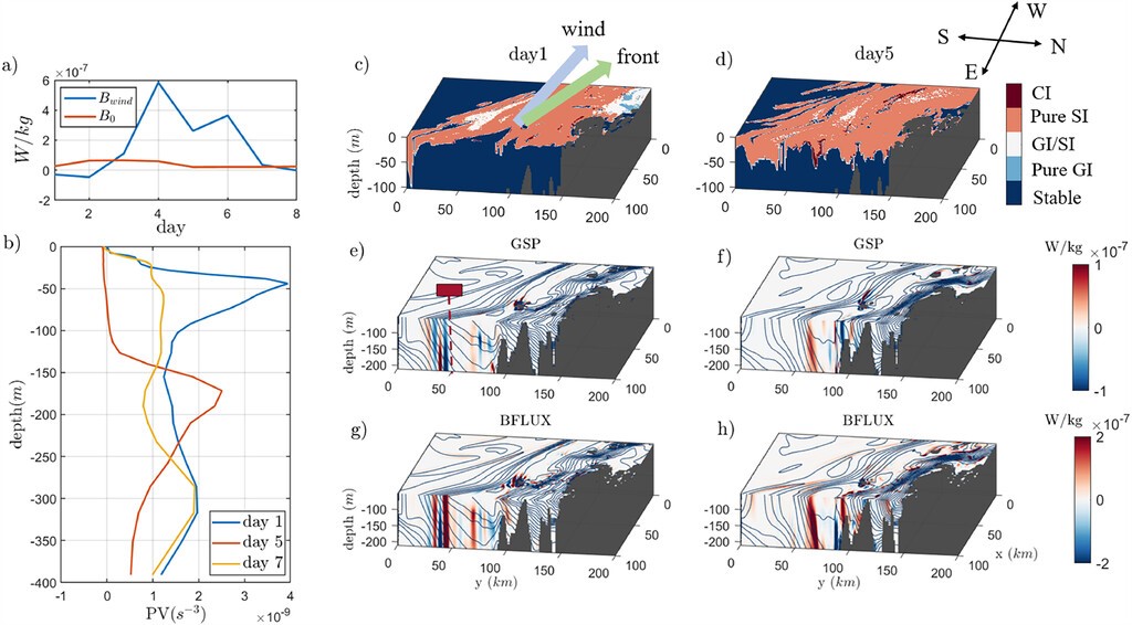 Impact of Downwelling-Favorable Winds on Eddy Formation in the West Greenland Current