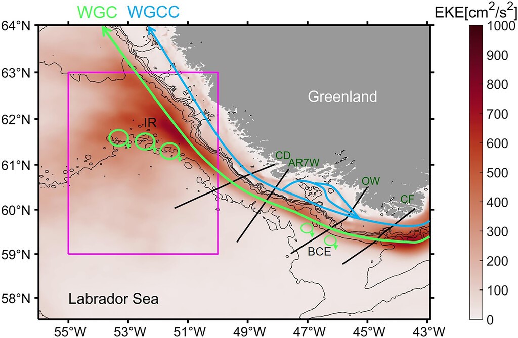 Variability of Eddy Formation off the West Greenland Coast from a 1/60° Model